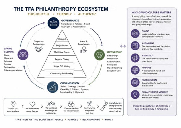 Donor Prymid Ecosystem Governance
